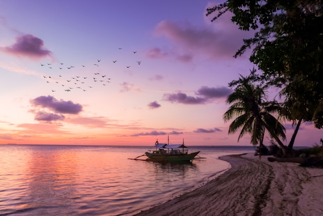 Why Now Is the Best Time to Buy Philippines Property