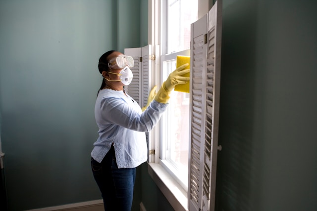 moldremoval.sg: Preventing Mold Return