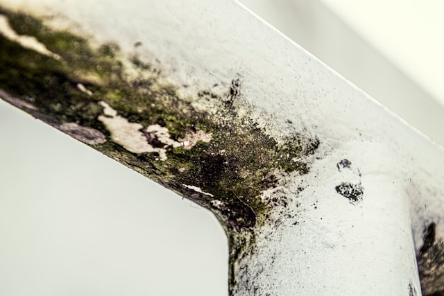 Healthcare Air Safety Standards Singapore Mold Remediation